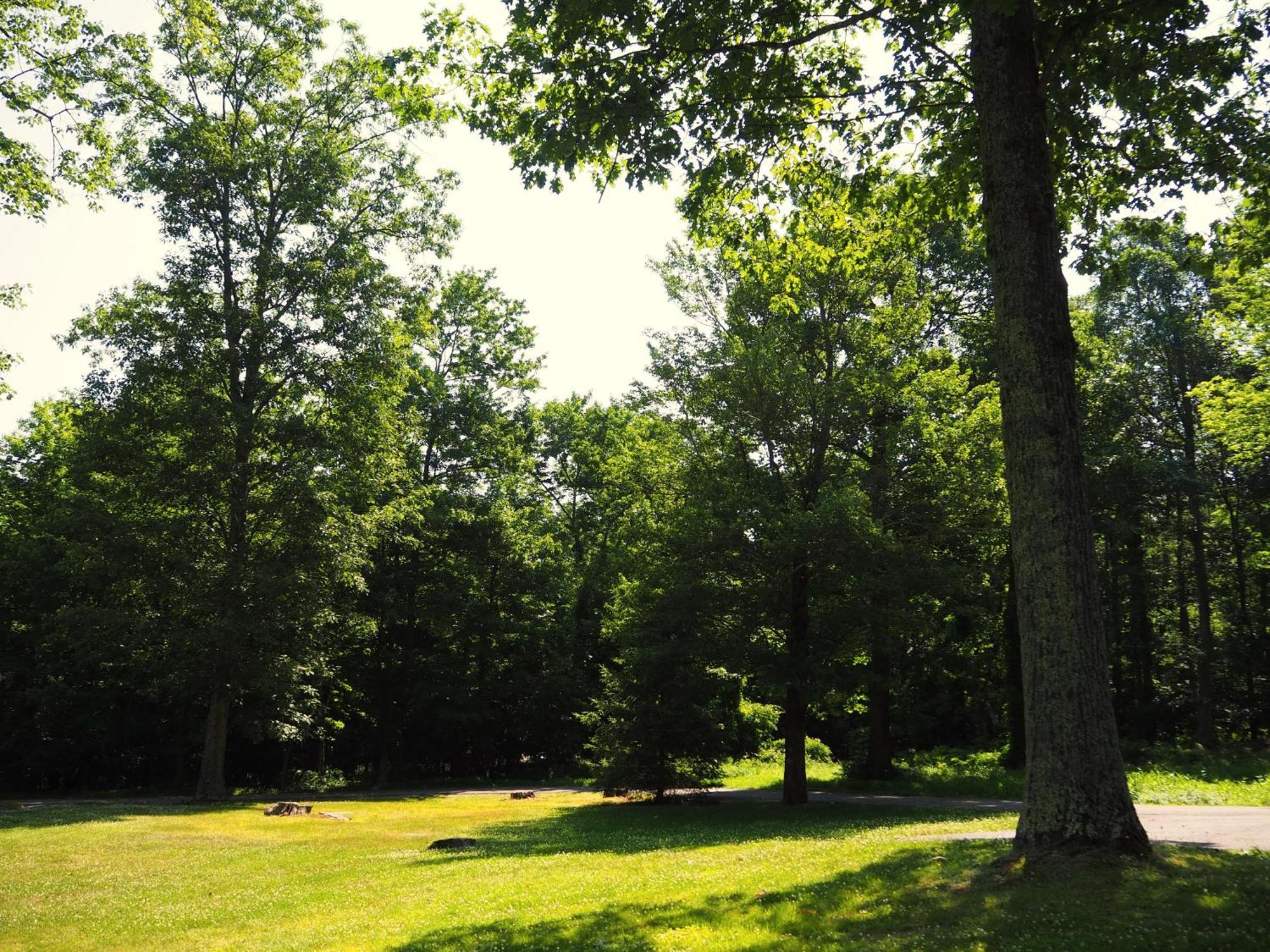 Woodfield Manor - A Sundance Vacations Property Cresco Luaran gambar